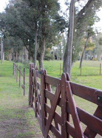 9 De Julio 2800, Cañuelas, Buenos Aires.