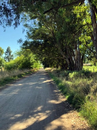 URIBELARREA-CASA QUINTA EN VENTA 