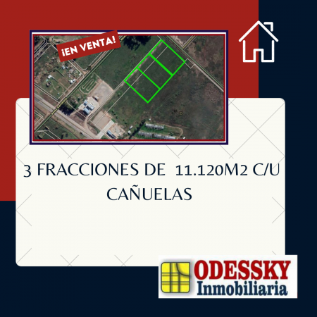 CAÑUELAS - 3 FRACCIONES DE 11.120 M2 - VENTA EN BLOCK