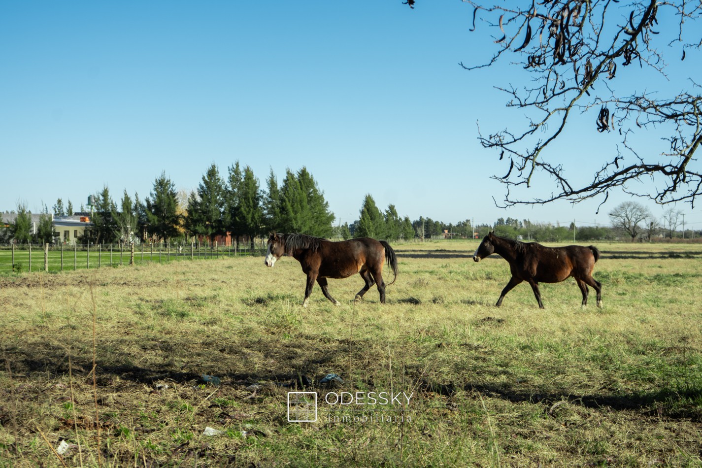 Cañuelas - Espectacular lote arbolado!! Juncal Y Hernandez - Amplia Financiacion !!!