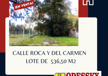 CAÑUELAS-LOTE EN VENTA - OPORTUNIDAD!!!