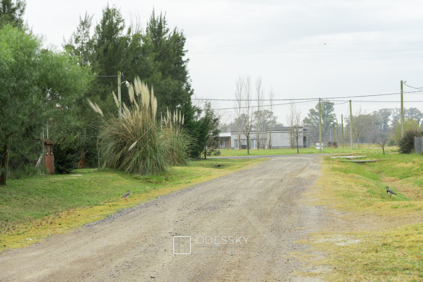 Uribelarrea- Cabaña de Troncos con Pileta y Gran Parque - Barrio abierto Quintas de Uribe