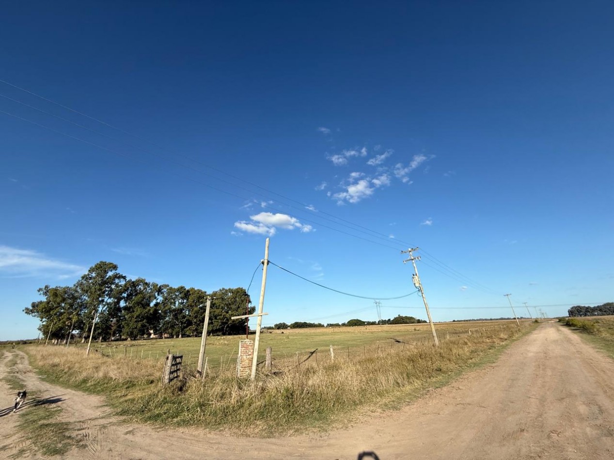 Udaondo, Cañuelas - 40 ha en venta 