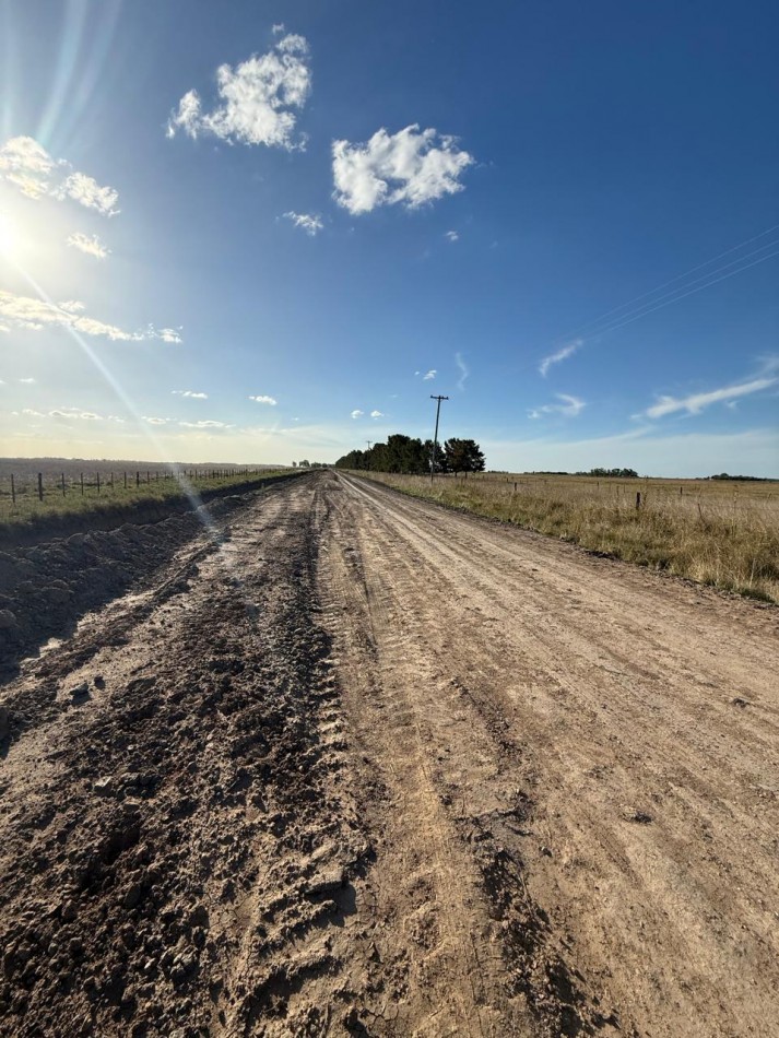 Udaondo, Cañuelas - 40 ha en venta 