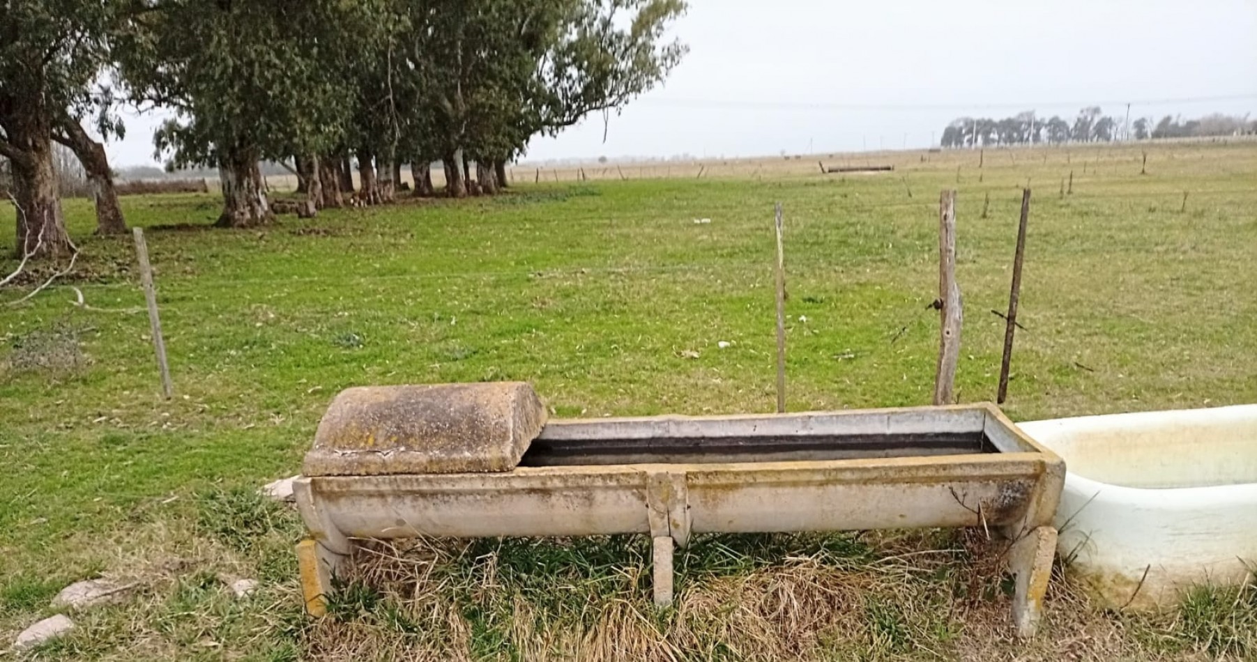 Udaondo, Cañuelas - 45 ha en venta 