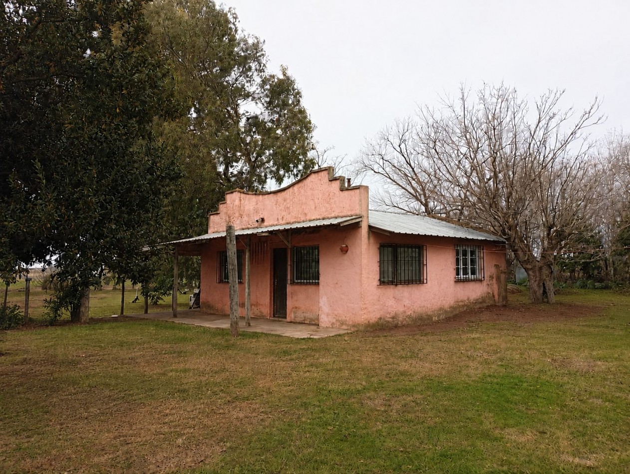 Udaondo, Cañuelas - 45 ha en venta 