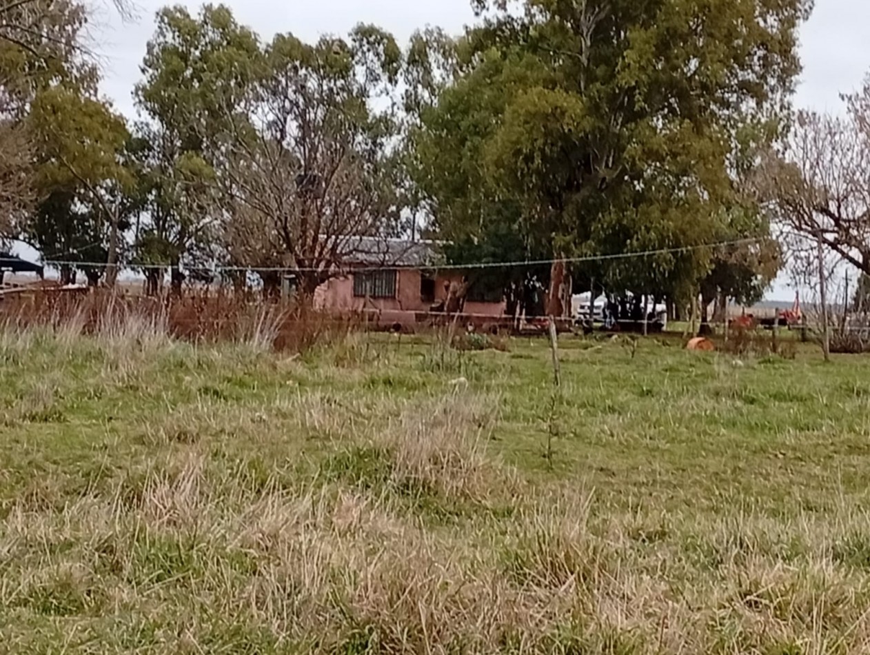 Udaondo, Cañuelas - 45 ha en venta 