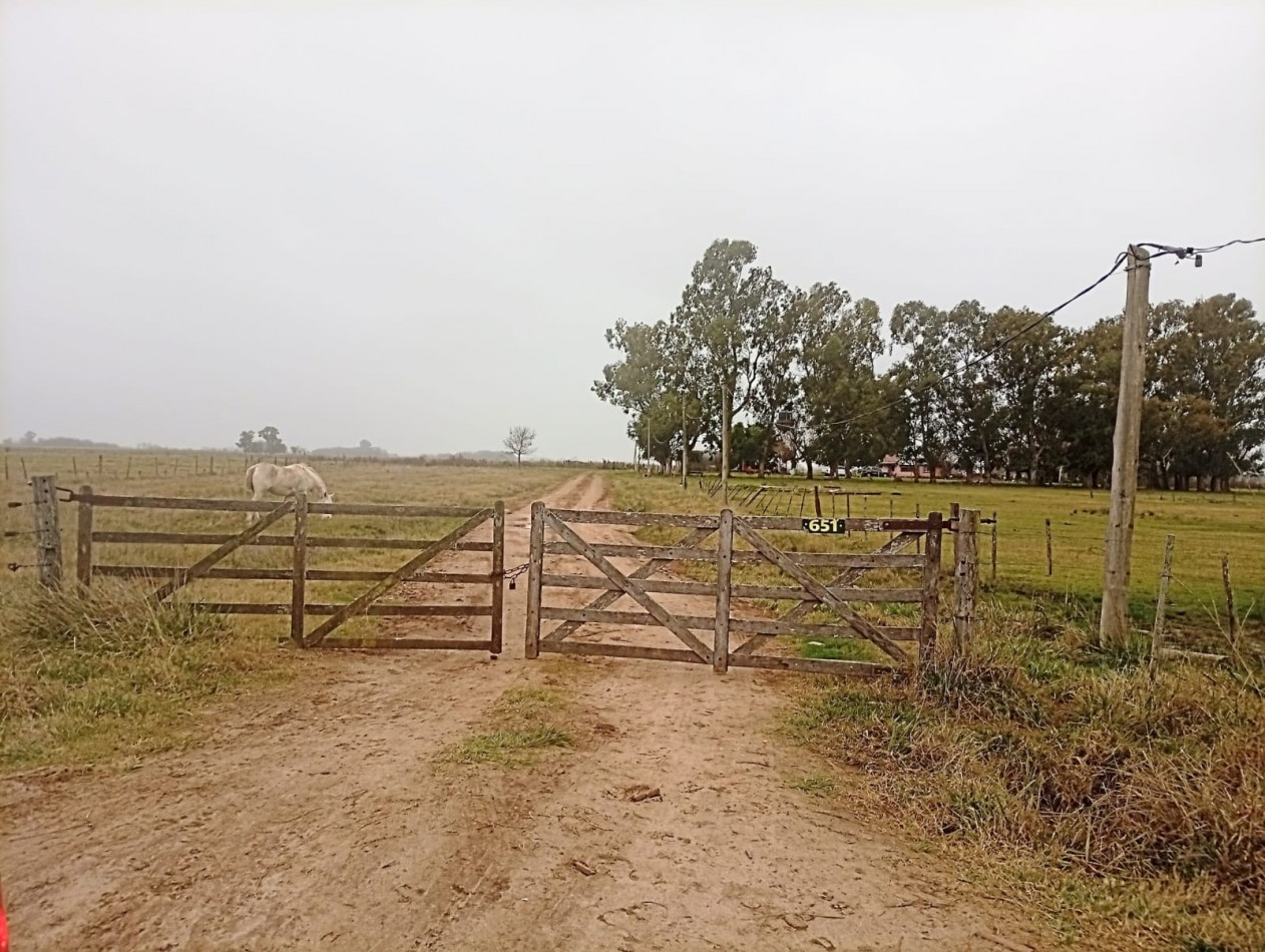 Udaondo, Cañuelas - 45 ha en venta 