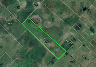 Udaondo, Cañuelas - 40 ha en venta 