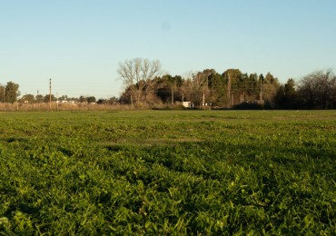 ¡Oportunidad de inversion en Cañuelas! 8 Lotes a la venta !